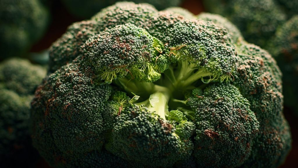 Quelle couleur et quels aspects visuels indiquent une dégradation du brocoli